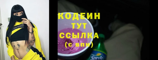 хмурый Корсаков