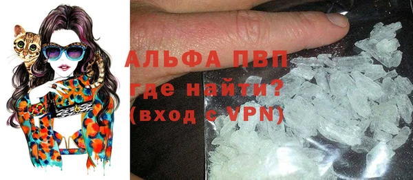 хмурый Корсаков