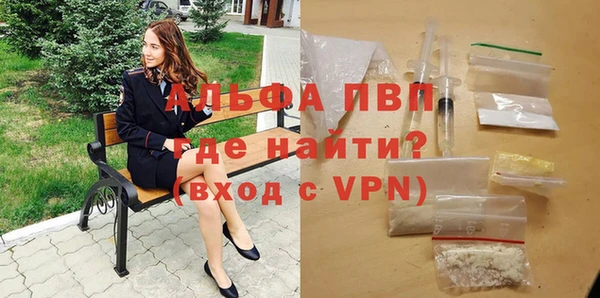 хмурый Корсаков