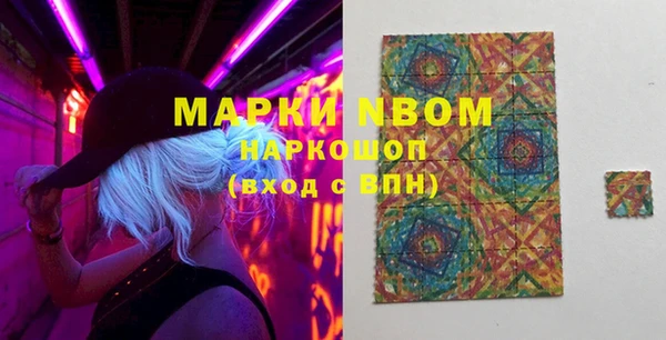 хмурый Корсаков