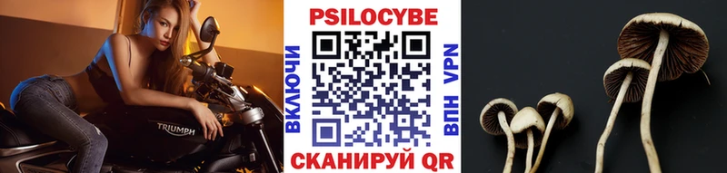 Псилоцибиновые грибы ЛСД  Циолковский 