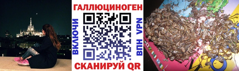 Галлюциногенные грибы GOLDEN TEACHER Циолковский